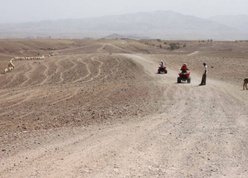 Quad Bike In Agafay